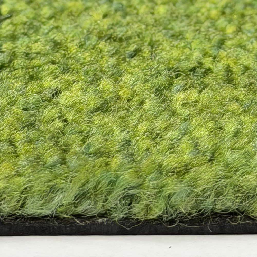C16 Olive