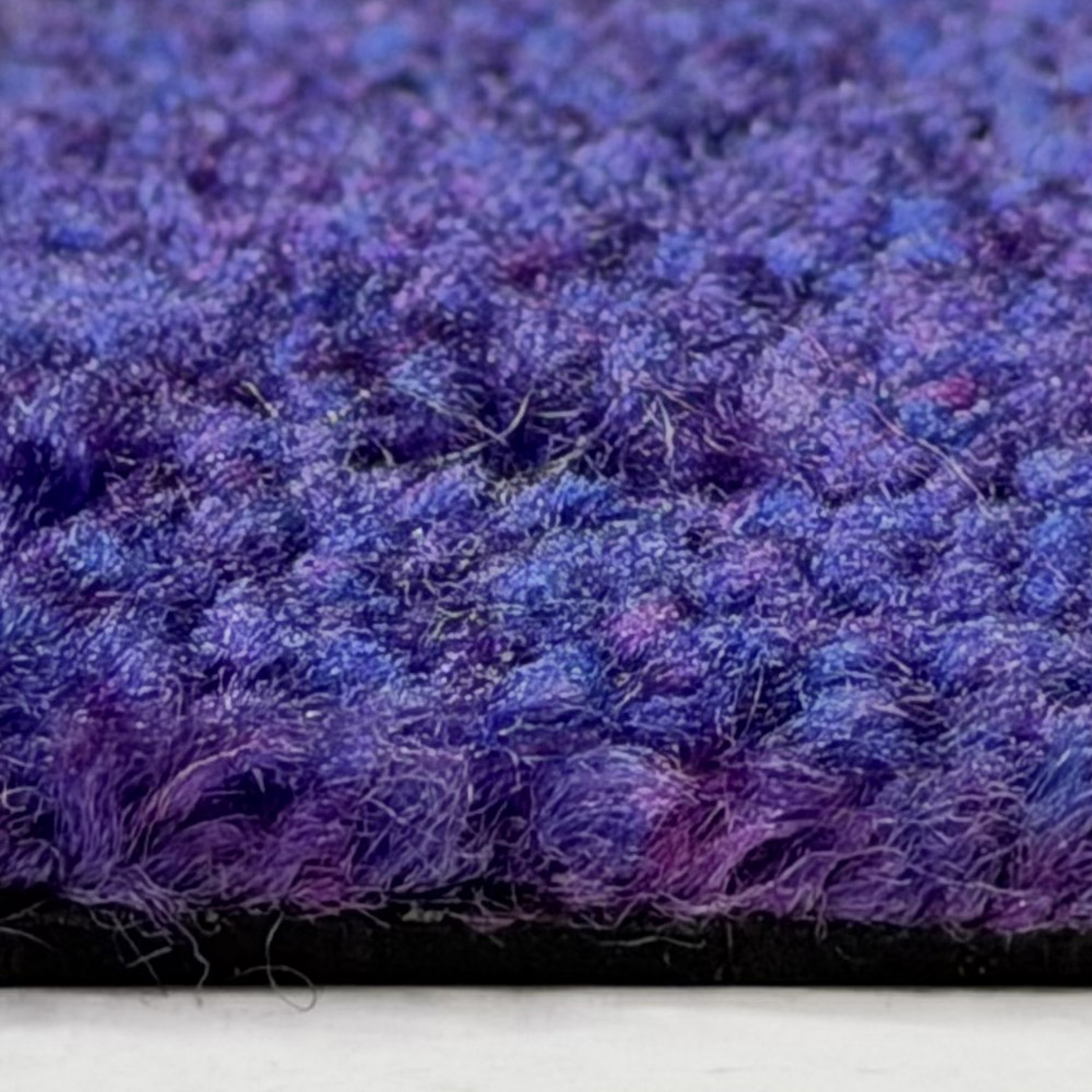 C31 Purple