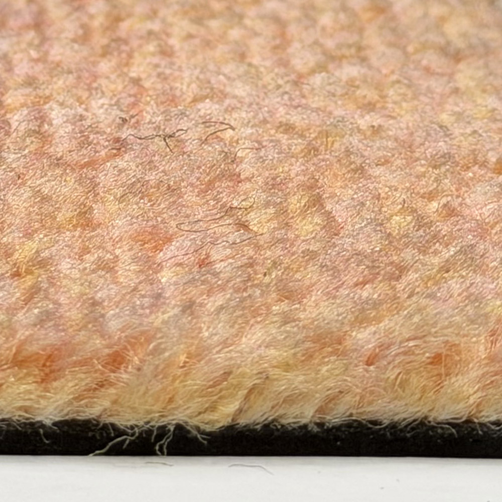 C54 Salmon